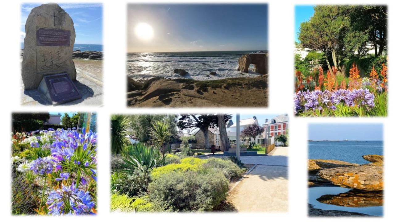 Appartement 3 Pieces Coeur Ville Quiberon Buitenkant foto